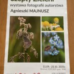 Wernisaż wystawy w Miejskim Ośrodku Kultury